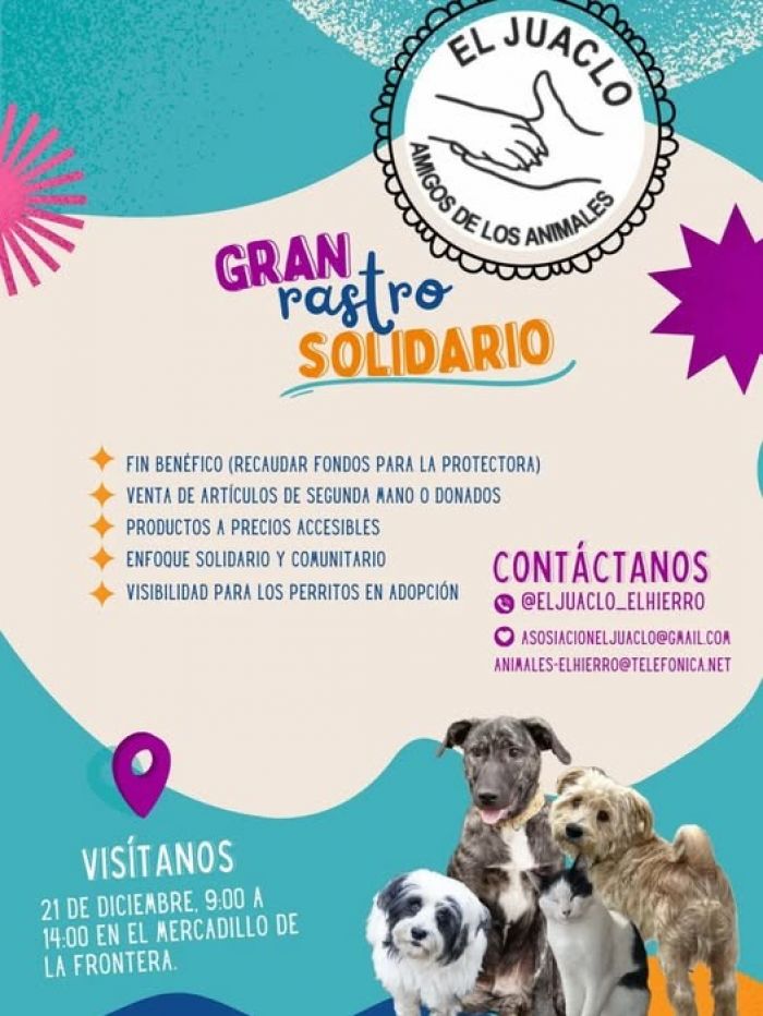 600976017_1277634387741832_553828985432614427_n