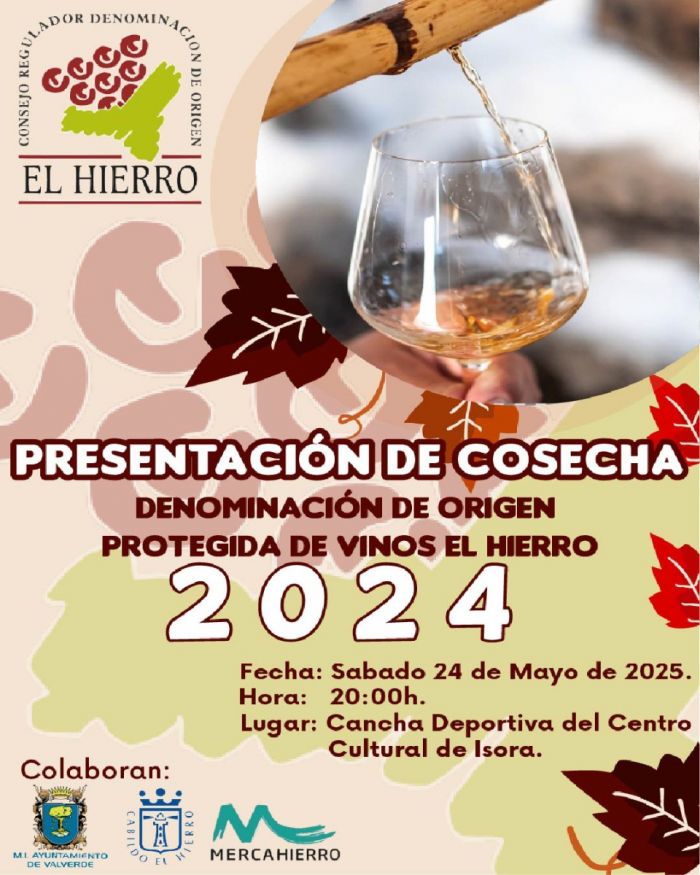 494233001_1237747505021317_8302860550506356505_n