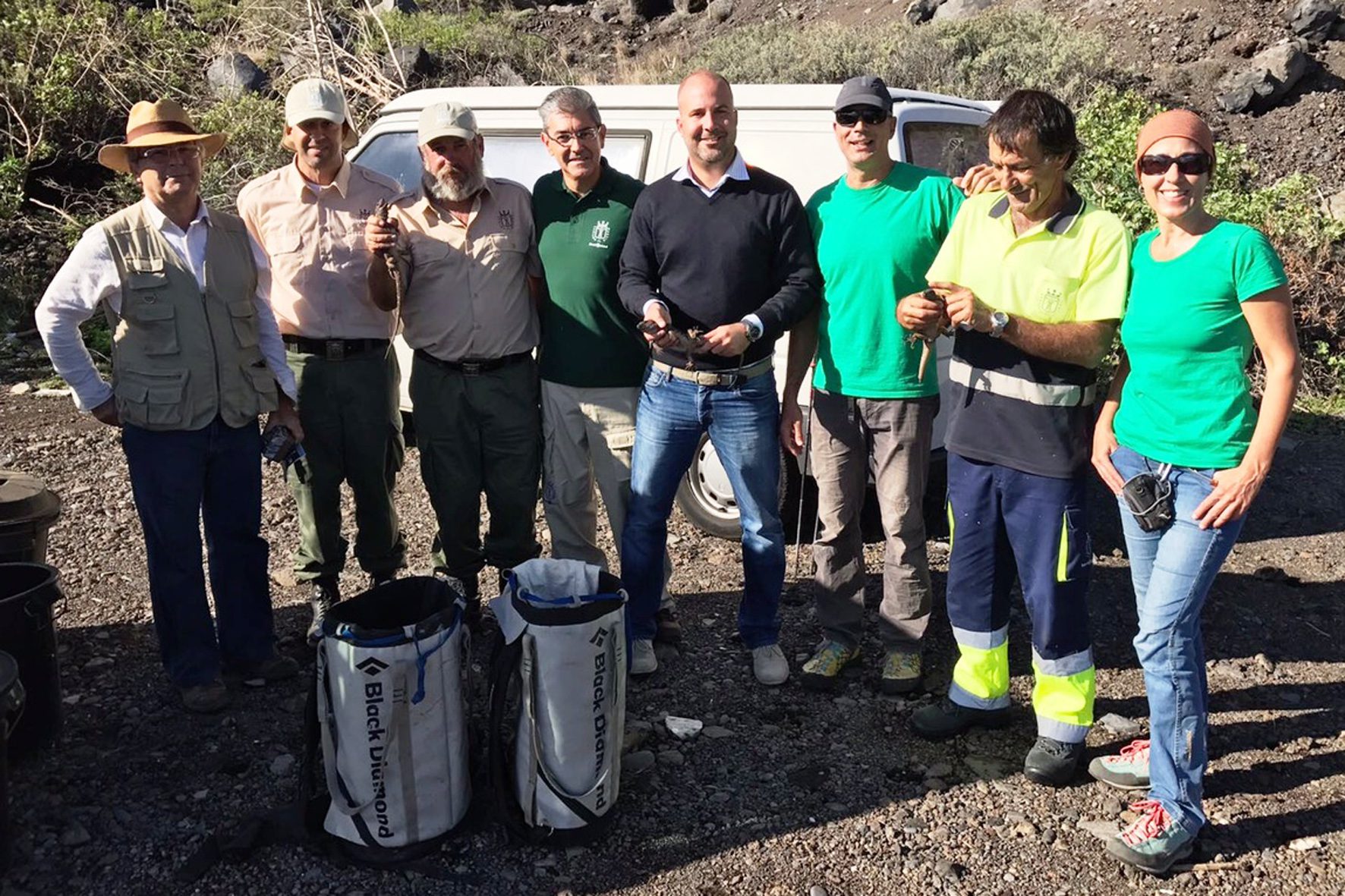 Suelta Lagartos 1
